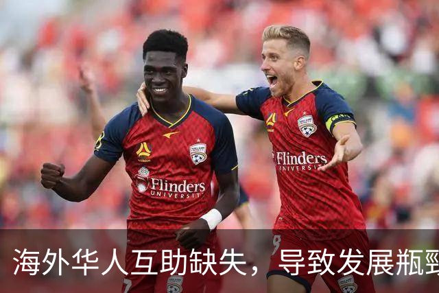 海外华人互助缺失，导致发展瓶頸